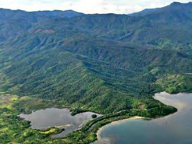 Philippines, Palawan Biosphere Reserve Nickel