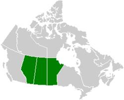 The Prairie Provinces are Manitoba, Saskatchewan and Alberta These provinces are the center for the nations