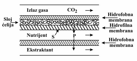 392 OSNOVI BIOPROCESNOG INŽENJERSTVA tvarača odvojena hidrofobnom mebranom koja propušta metabolit etanol u struju ekstragensa (u ovom slučaju TBF). Slika 9.