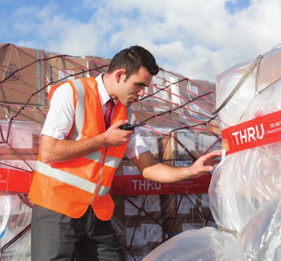 AVSEC SOLUTIONS Cargo Security Cargo Screening Positive Target