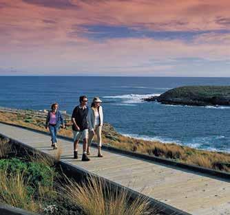 Sightseeing Tours 2 Days/1 Night Food, Wine & Natural Wonders of Kangaroo Island NEW TOUR 2 Days/1 Night Best of Kangaroo Island Tour THE BEST OPTION FOR YOUR CLIENTS Tour Code: FWWKICC (Ferry/Ferry)