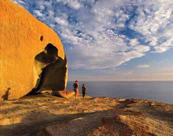 Choose between a 2 or 3 day fully inclusive packages featuring a guided walk along sections of the Kangaroo Island Wilderness Trail.