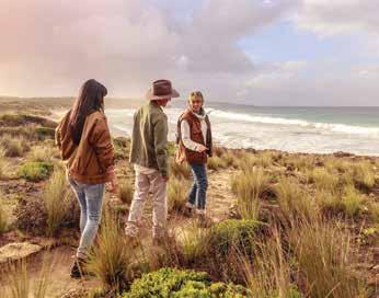 Choice of Ferry/Ferry, Ferry/Fly or Fly/Fly departures One day tour of Kangaroo Island with a delicious gourmet picnic lunch and local wines One or two day guided walk along the Kangaroo Island