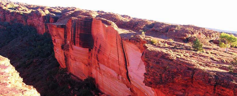 Razglednica iz tujine Predelne stene kanjona King s Canyon kamnu in drevju zapisana zgodovina.
