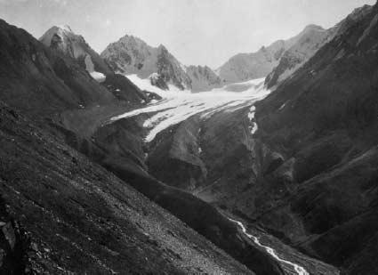 "Little Holgate Glacier" has separated into several smaller ice masses and Holgate s terminus, while still tidewater, has retreated from the field of view.