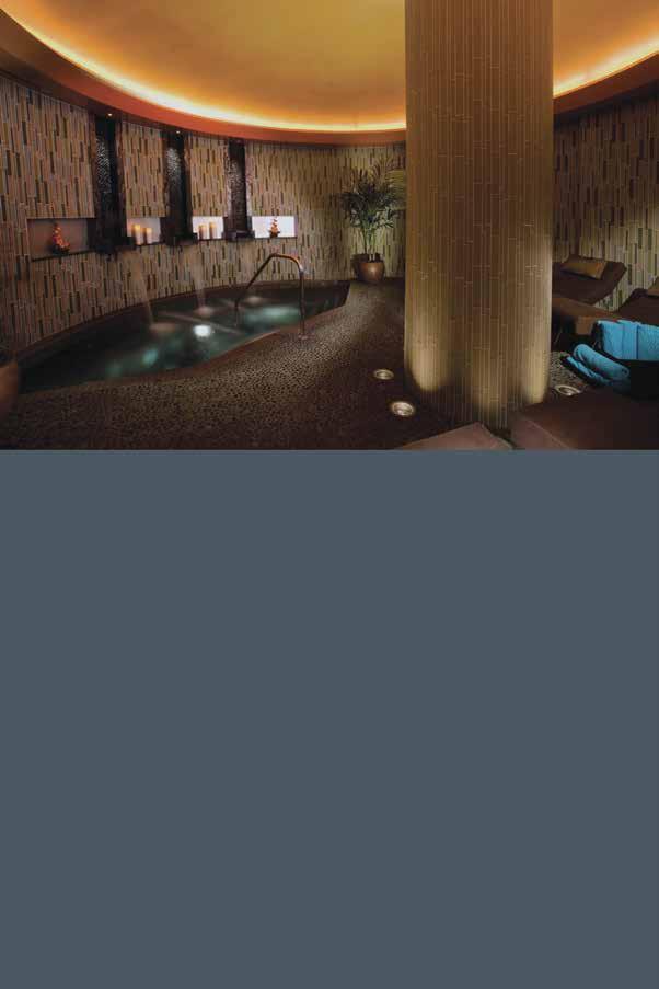 LA RIVE SPA Relax and rejuvenate your mind, body and soul at our award-winning Forbes Travel Guide Four Star rated spa, featuring: 14,000 sf, full-service luxury spa and salon Massages, facials and