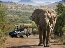 Kruger National Park Kruger National Park Where nearly 2 million hectares of unrivalled diversity of life forms fuses with historical and