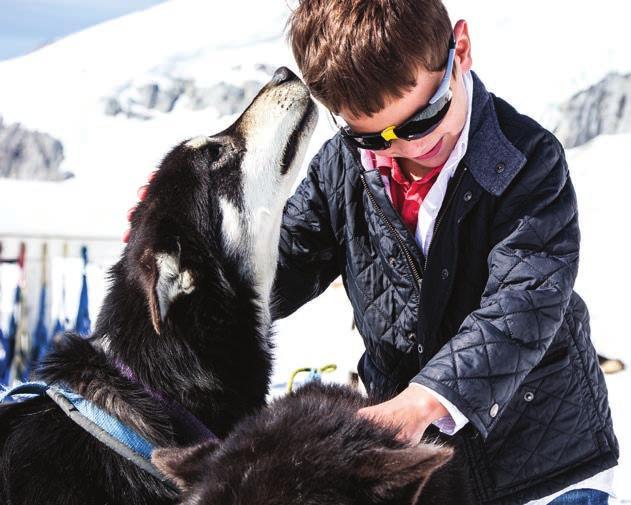 DENALI LAND EXCURSIONS HUSKY HOMESTEAD This is an immersive Iditarod adventure. Tour the homestead kennel of four-time Iditarod Champion Jeff King.