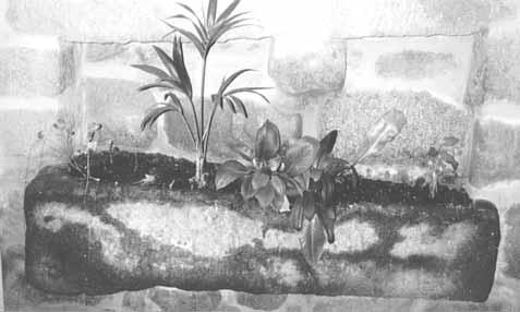 >> Xurxo Ayán Vila (coord.) Figura 2: Sartego fincado nos muros da rectoral dos Baños de Cuntis. aflorarían en distintas ocasións.