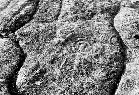 Existen máis pedras insculturadas neste outeiro hoxe ocultas polos sedimentos e malezas. Bibliografía: García Alén, A. e Peña Santos, A. 1980 Grabados rupestres de la Provincia de Pontevedra.