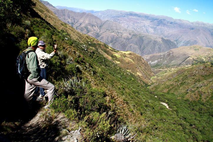 DAY 3: FROM CUSCO TO MAUKALLACTA AND CEDROCHAYOQ DAY BY DAY ITINERARY The guide will meet you at the hotel to leave Cusco (7:00 am) in our private vehicle, we will drive for 2½ hours towards