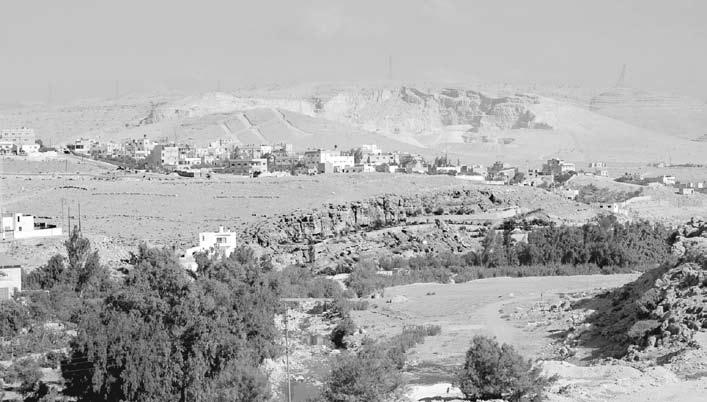 L. Nigro, M. Sala, A. Polcaro: Khirbat al-batråwπ 11. General view of the site of Junayna on the western side of Wådπ az-zarqå, south of Khirbat al-batråwπ.