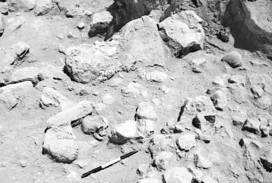 L. Nigro, M. Sala: Khirbat al-batråwπ Excavations, 2009 Season 11. Plan of EB IVB (2200-200 BC) child burials D.1020 and D.1026. stela or vertical stone 14. The northern most burial, D.
