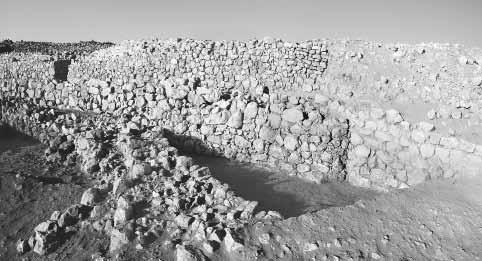 L. Nigro, M. Sala: Khirbat al-batråwπ Excavations, 2009 Season north-west (Fig. 3). The Scarp Wall W.