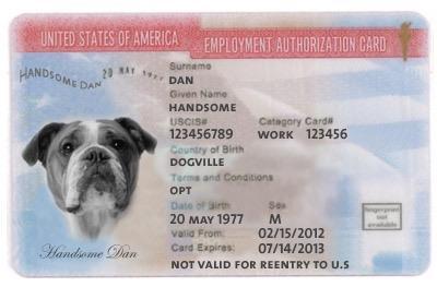 Employment Authorization Document (EAD) Once approved, you will receive an EAD.