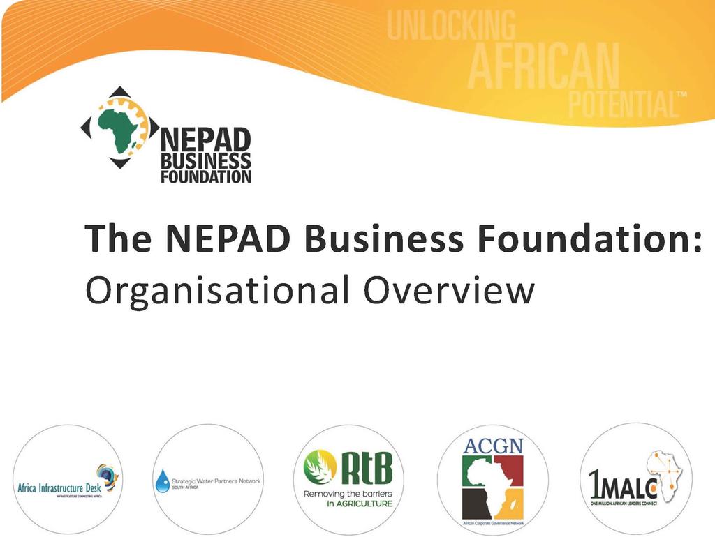 NEPAD Business Foundation Annual