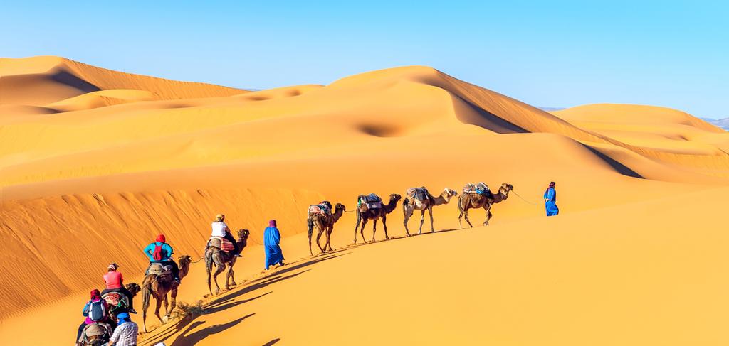 17 DAY CULTURAL ODYSSEY COLOURS OF MOROCCO $3999 PER PERSON TWIN SHARE TYPICALLY $7199 MARRAKECH FEZ ESSAOUIRA CASABLANCA THE OFFER A feast for the eyes; food for the soul.