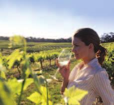 Highlights Enjoy wine tasting at small boutique cellar doors A delicious gourmet lunch platter with local Barossa produce Visit to Wolf Blass Visitor Centre and Saltram Wine Estate Adelaide City