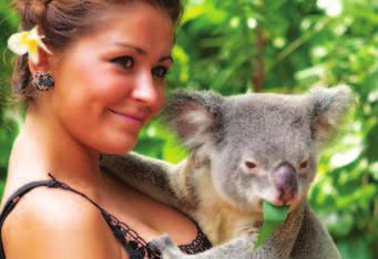 Inclusions Return SeaLink Ferry fare to Magnetic Island 2 hour koala tour at Bungalow Bay
