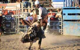 com 800-860-2943 Buckin Ohio Pro Bull Riding in Burbank NATURE & ADVENTURE Wagon Trails Animal Park in Vienna TRUMBULL COUNTY Waiting for you here is a variety of attractions,