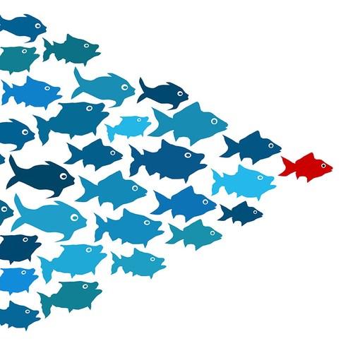 leadership essentials, including: Management vs leadership How to support teams Networks for ongoing learning Social, economic and political trends affecting reefs Team