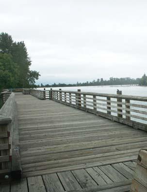 the Fraser River Boardwalk Views of