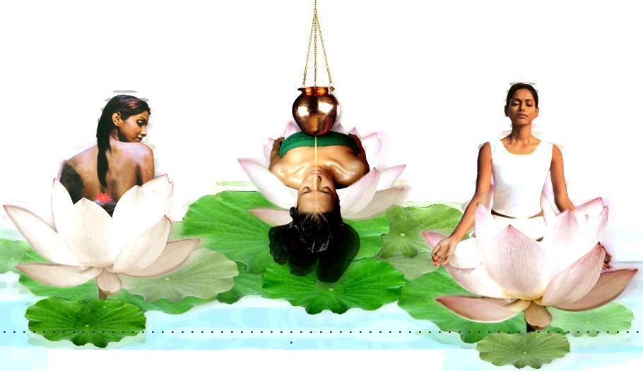 Traditional Systems of Wellness Ayurveda Retreats Naturopathy Aromatherapy Spas Yoga