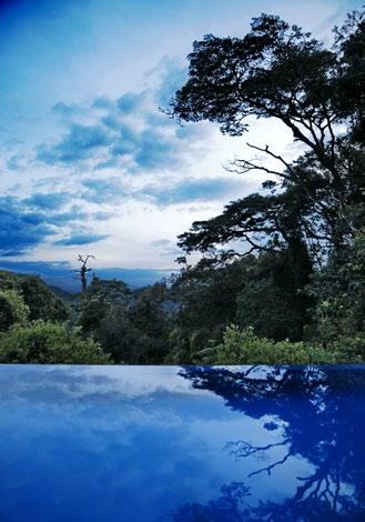 The lodge is well-positioned within a forest of Eucalyptus trees on the foothills of the Virunga Volcano range, affording guests breath-taking views.