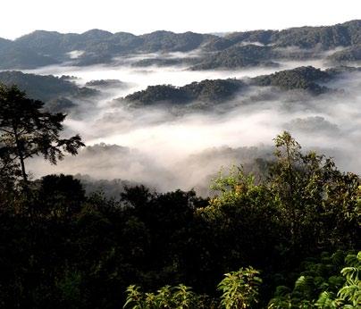 The Congo-Nile Divide is a mountain range that runs north to south through Rwanda. Moreover this special type of forest is habitat to many species and an important part of the Rwandan ecosystem.