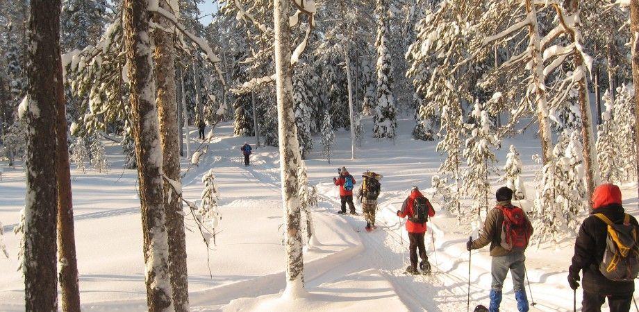 FINLAND MULTI-ACTIVITY CHALLENGING ABOUT THE CHALLENGE The perfect antidote to a cold, wet British winter is a cold, dry Arctic adventure!