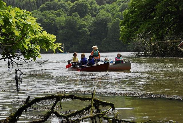 River Dart Expedition This is a wonderful opportunity to explore the Dart estuary between Dittisham and Dartmouth.