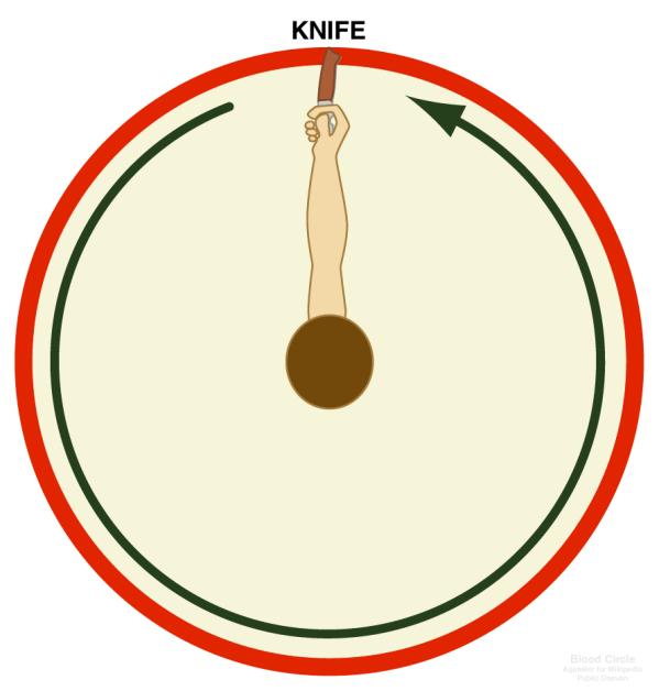 The Blood Circle for Scouting Knife Safety So what exactly is the Blood Circle also known as the Safety Circle and how are knives involved?