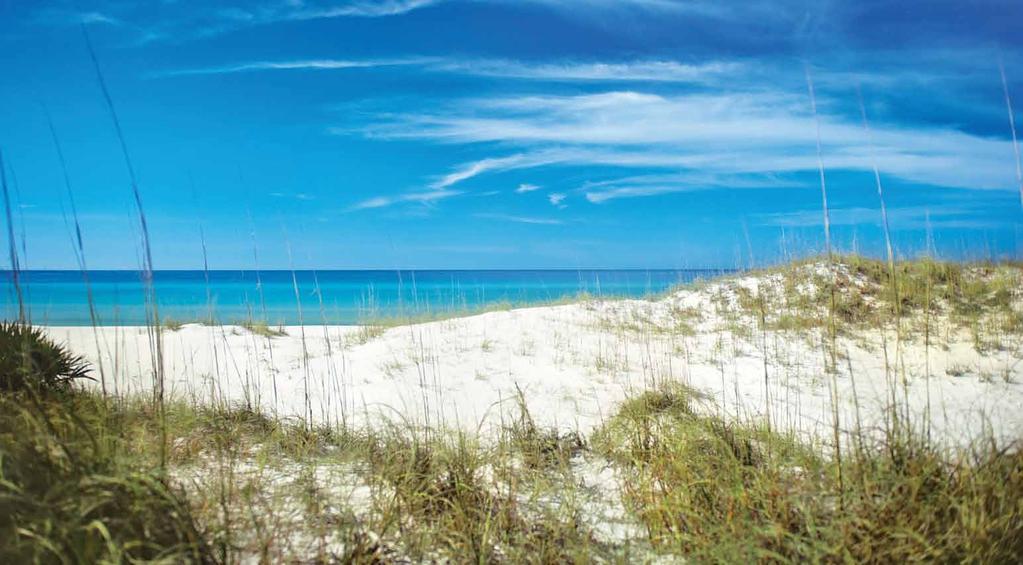 Bay County TDC and Panama City Beach CVB Organization Structure Marketing and managing a large destination requires a highly skilled team effort.