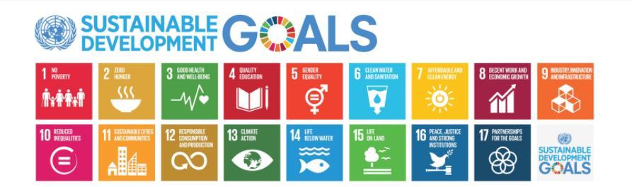 Tourism: a key sector for achieving the SDGs Tourism can be a powerful vehicle to promote and reach the milestones of the ambitious agenda, given that it is one of the major sectors in international