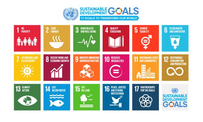 2030 Agenda for Sustainable Development Target 8.