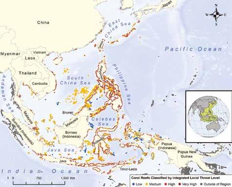 More than 65% of reefs in the region are at risk from local threats, with one-third rated at high or very high risk.
