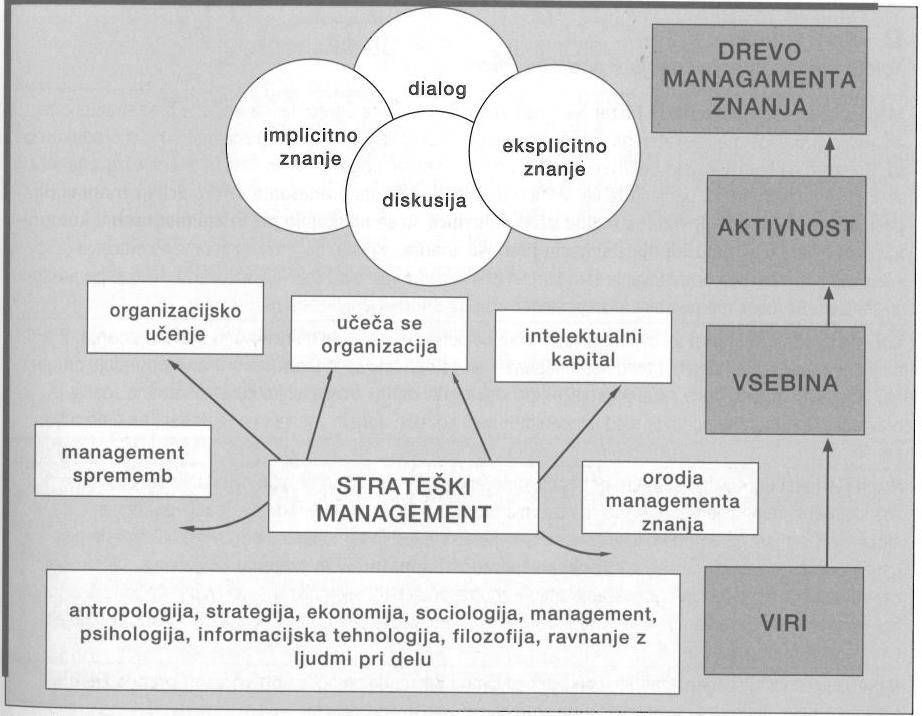 Slika 4 - Timska organizacijska struktura učeče se organizacije Timsko delo je mnogo več od tehničnega sodelovanja, prinese pa, skozi sinergične učinke, veliko boljše rezultate, v krajšem času, z