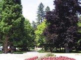 V zdraviliškem parku je bogat kostanjev drevored, sam park pa se nadaljuje v promenado z javorovim drevoredom, ki je urejen na mestu,