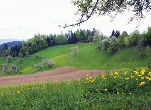 Na Veliki planini lahko najdemo tudi številne zaščitene rastlinske in živalske vrste. Vzhodno od Kamnika se raztezata Tuhinjska in Motniška dolina.