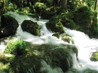 It its upper stream it is extremely clean river which created several natural sights, the most outstanding being Mali and Veliki Predaselj, the karst spring of the river, as well s