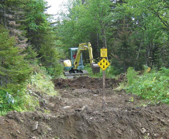 A major road closure project was started in 2017 and will be completed this year. No less than 35,000 trees will be planted to restore a portion of the caribou s home.