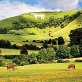 WILTSHIRE by Rail Stay in Wiltshire and use it as your base to access hundreds of destinations including: Avebury Stone Circle and Manor
