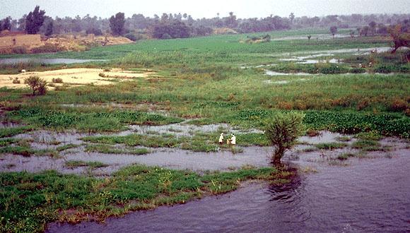Flooding occurred from July to September as the result of the tropical rains in the Ethiopian tableland.