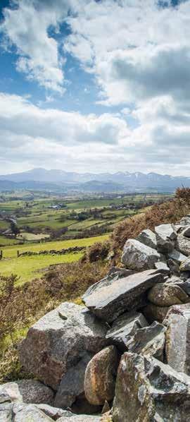70 Newry, Mourne and Down Tourism Strategy 2017-2021 A compelling market presence and position Recommendation: The focus of marketing will be on supporting the promotion of compelling experiences and