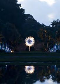 Chihuly at Fairchild will coincide with the opening of Art Basel on December 6, 2014, and will run through May 31, 2015.