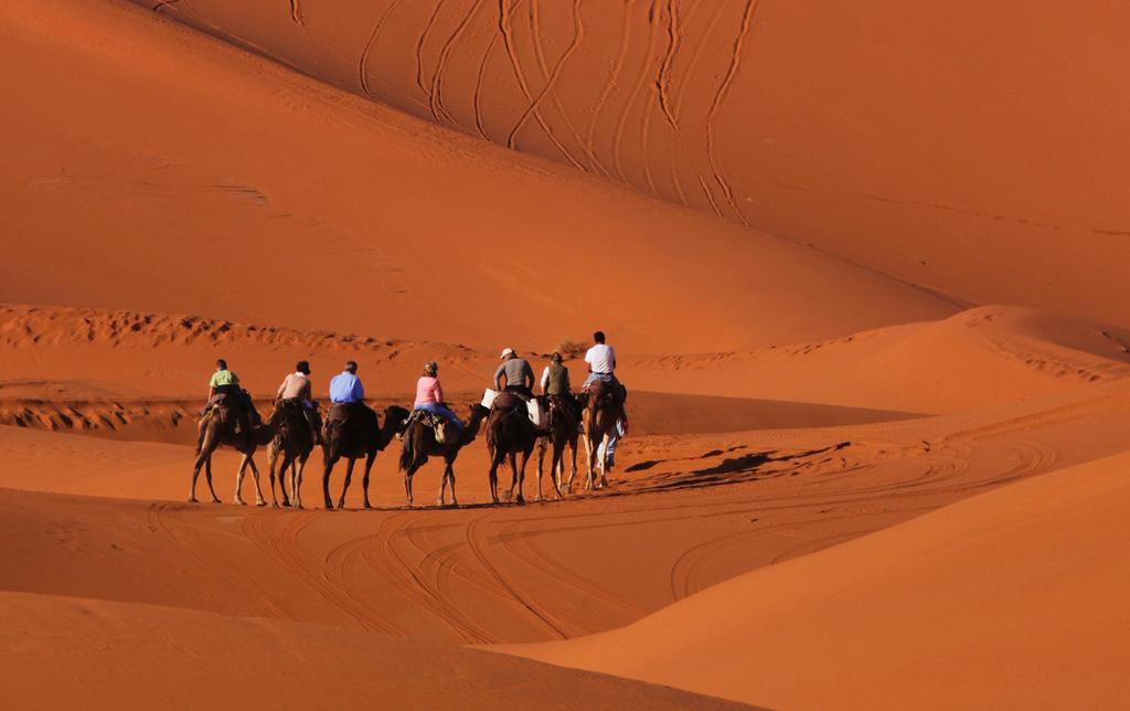 We enjoy a sunset Sahara excursion on Day 8.