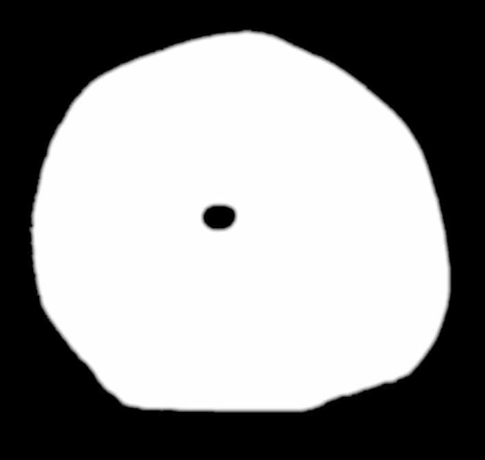 Sl. 4: Vinča - keramički disk sa perforacijom u centru (dokumentacija Vinča projekta).