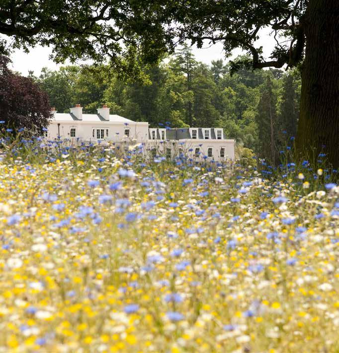 COWORTH PARK Set in 240 acres of picturesque parkland on the borders of Windsor Great Park, Coworth Park blends the warmth and comfort of a traditional country house hotel with an eccentric spirit