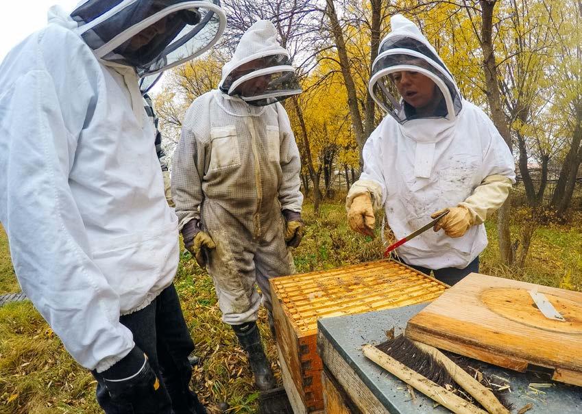 FARM AND BEE TOUR Get hands-on with nature's sweetest workers as you explore FortWhyte Farms.