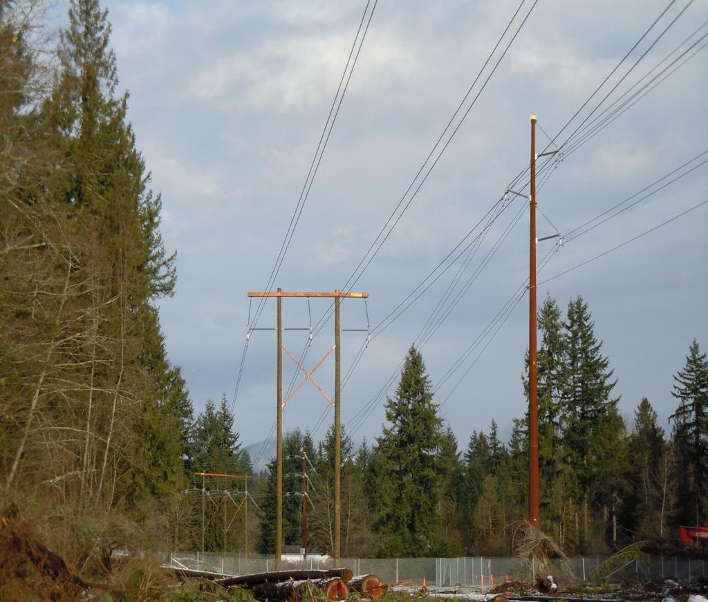 230 kv power line engineering and design Typical Pole types: Wood Steel brown or silver No